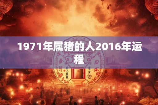 1971年属猪的人2016年运程 1971年属猪的人2016年运程