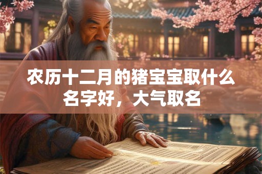 农历十二月的猪宝宝取什么名字好,大气取名 农历十二月的猪宝宝取什么名字好,大气取名