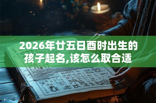 2026年廿五日酉时出生的孩子起名,该怎么取合适