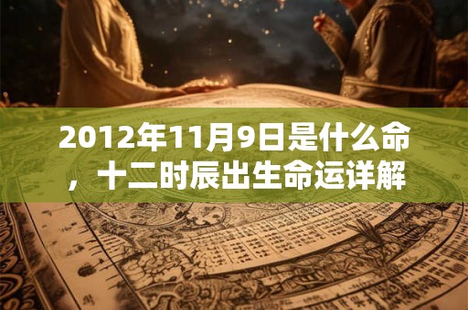 2012年11月9日是什么命，十二时辰出生命运详解