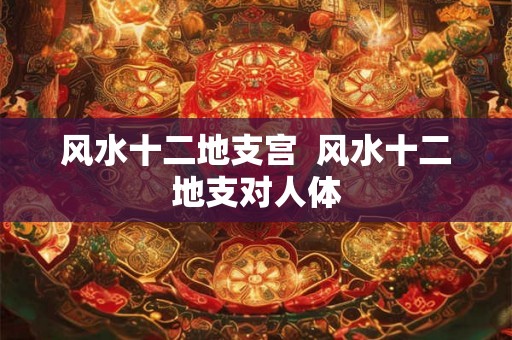 风水十二地支宫  风水十二地支对人体