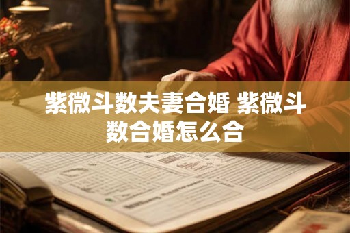 紫微斗数夫妻合婚 紫微斗数合婚怎么合