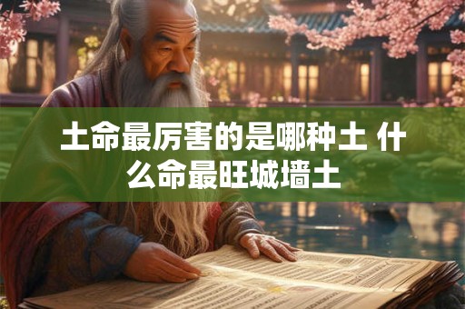 土命最厉害的是哪种土 什么命最旺城墙土