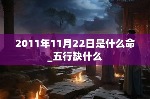 2011年11月22日是什么命_五行缺什么
