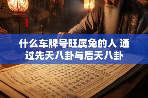 什么车牌号旺属兔的人 通过先天八卦与后天八卦
