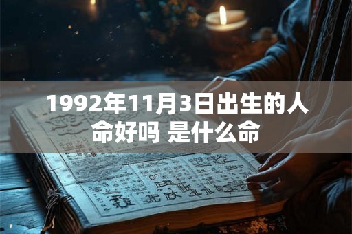 1992年11月3日出生的人命好吗 是什么命