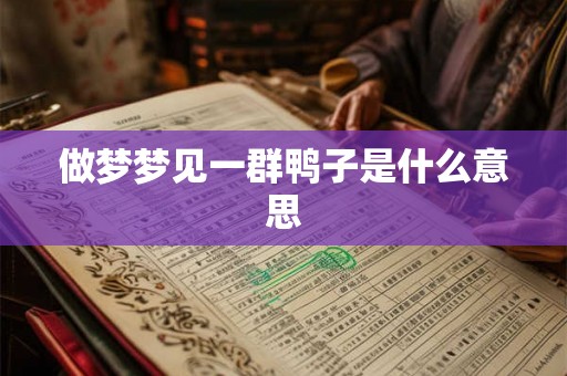 做梦梦见一群鸭子是什么意思
