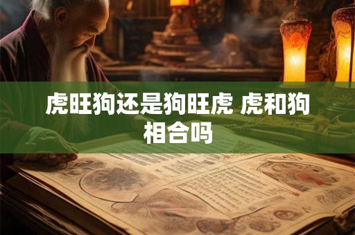 虎旺狗还是狗旺虎 虎和狗相合吗