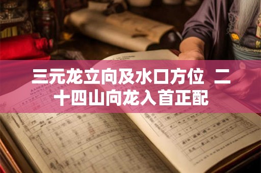 三元龙立向及水口方位  二十四山向龙入首正配
