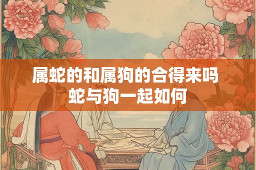 属蛇的和属狗的合得来吗 蛇与狗一起如何