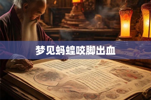 梦见蚂蝗咬脚出血