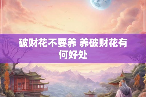 破财花不要养 养破财花有何好处
