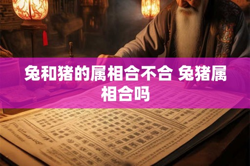 兔和猪的属相合不合 兔猪属相合吗 兔和猪的属相合不合 兔猪属相合吗