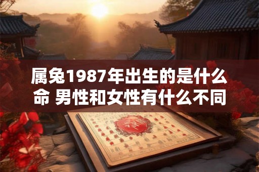 属兔1987年出生的是什么命 男性和女性有什么不同 属兔1987年出生的是什么命 男性和女性有什么不同