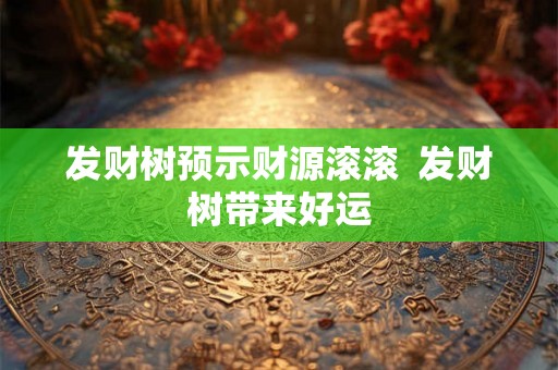 发财树预示财源滚滚  发财树带来好运