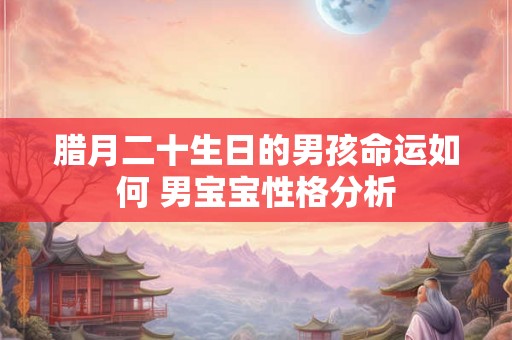 腊月二十生日的男孩命运如何 男宝宝性格分析