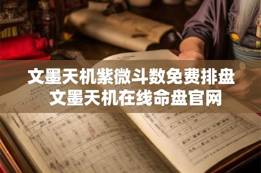 文墨天机紫微斗数免费排盘  文墨天机在线命盘官网