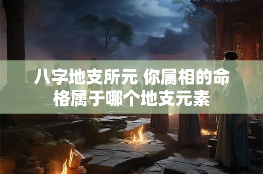 八字地支所元 你属相的命格属于哪个地支元素