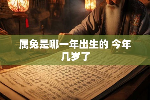 属兔是哪一年出生的 今年几岁了