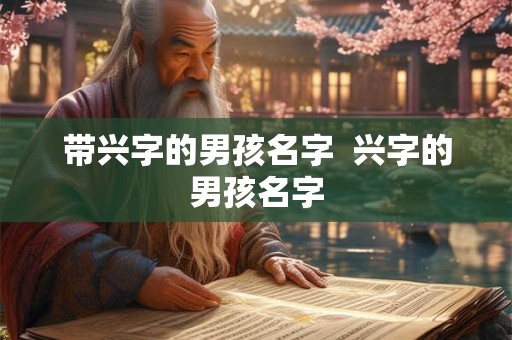 带兴字的男孩名字  兴字的男孩名字