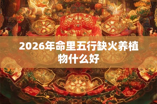 2026年命里五行缺火养植物什么好