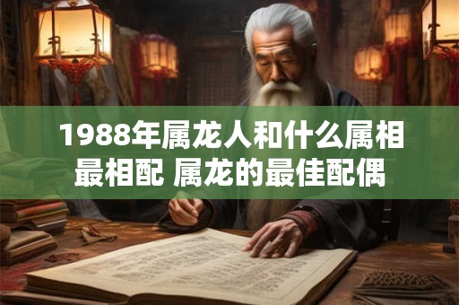 1988年属龙人和什么属相最相配 属龙的最佳配偶