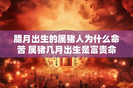腊月出生的属猪人为什么命苦 属猪几月出生是富贵命