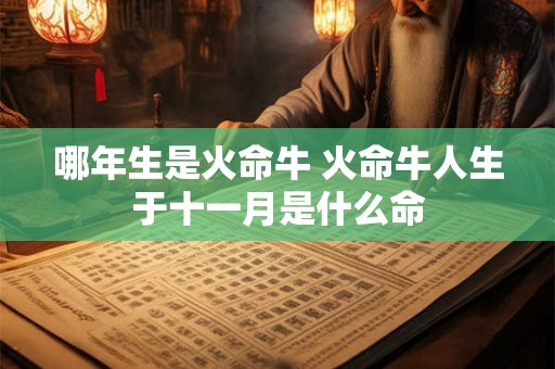哪年生是火命牛 火命牛人生于十一月是什么命