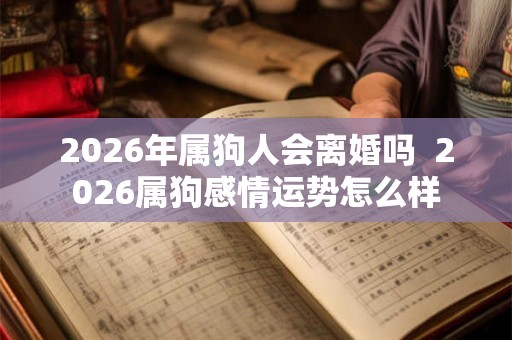 2026年属狗人会离婚吗  2026属狗感情运势怎么样