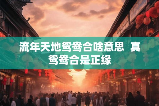 流年天地鸳鸯合啥意思  真鸳鸯合是正缘