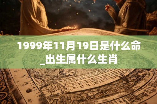 1999年11月19日是什么命_出生属什么生肖