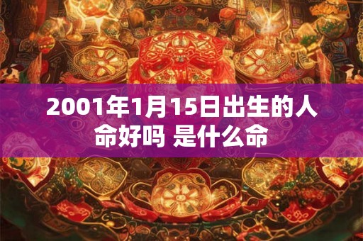 2001年1月15日出生的人命好吗 是什么命