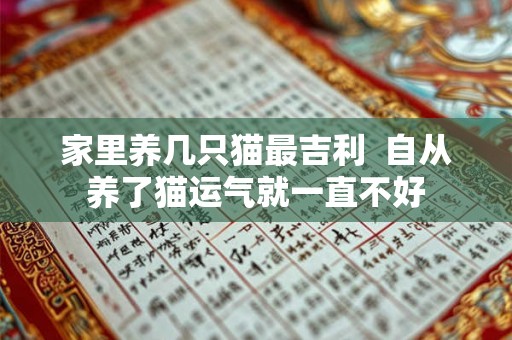 家里养几只猫最吉利  自从养了猫运气就一直不好