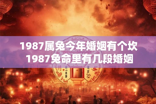 1987属兔今年婚姻有个坎 1987兔命里有几段婚姻
