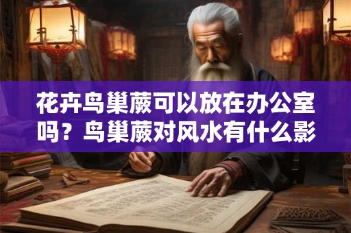 花卉鸟巢蕨可以放在办公室吗？鸟巢蕨对风水有什么影响？