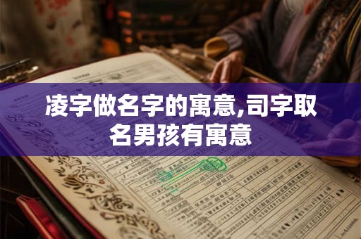 凌字做名字的寓意,司字取名男孩有寓意