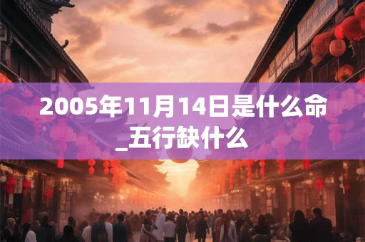 2005年11月14日是什么命_五行缺什么