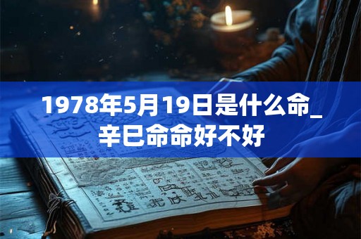 1978年5月19日是什么命_辛巳命命好不好