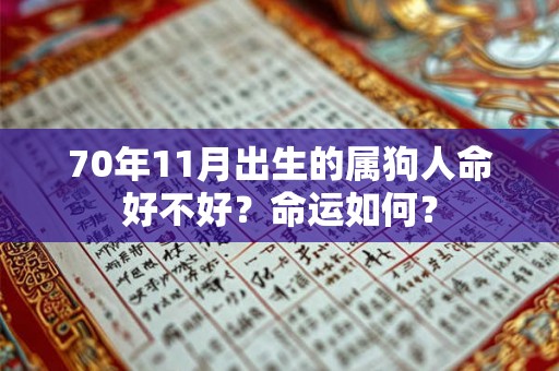 70年11月出生的属狗人命好不好?命运如何? 70年11月出生的属狗人命好不好?命运如何?