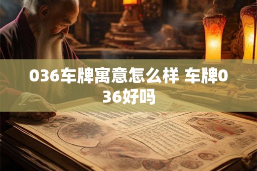 036车牌寓意怎么样 车牌036好吗