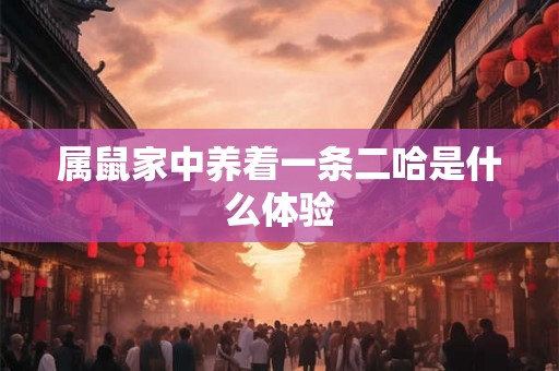 属鼠家中养着一条二哈是什么体验