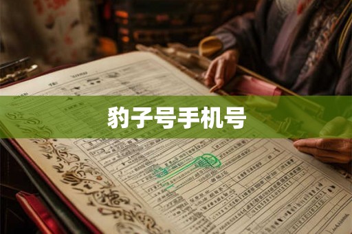 豹子号手机号