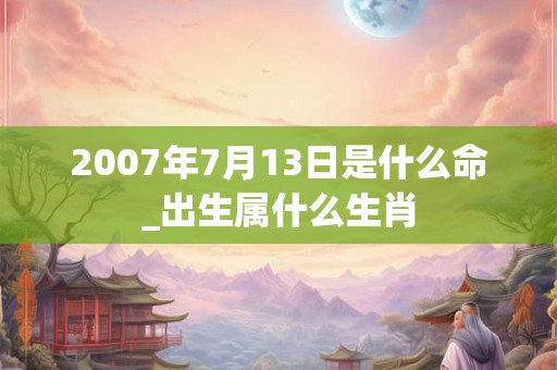 2007年7月13日是什么命_出生属什么生肖