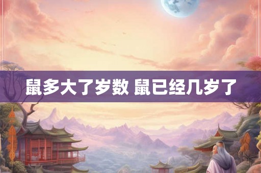 鼠多大了岁数 鼠已经几岁了 鼠多大了岁数 鼠已经几岁了