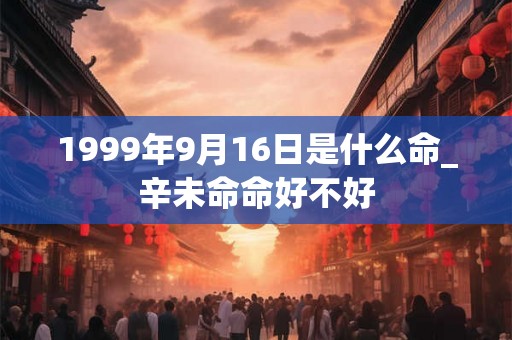 1999年9月16日是什么命_辛未命命好不好