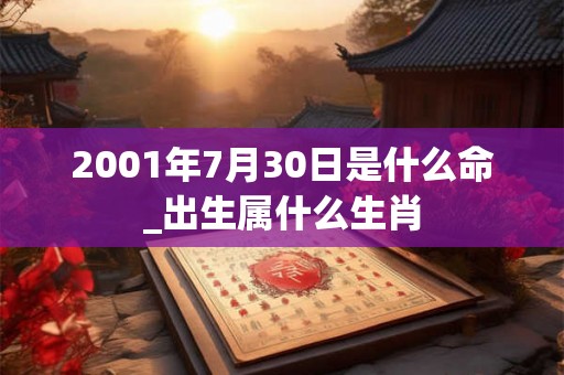 2001年7月30日是什么命_出生属什么生肖