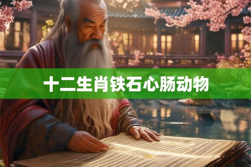 十二生肖铁石心肠动物 十二生肖铁石心肠动物