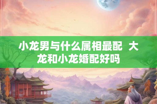 小龙男与什么属相最配 大龙和小龙婚配好吗 小龙男与什么属相最配 大龙和小龙婚配好吗