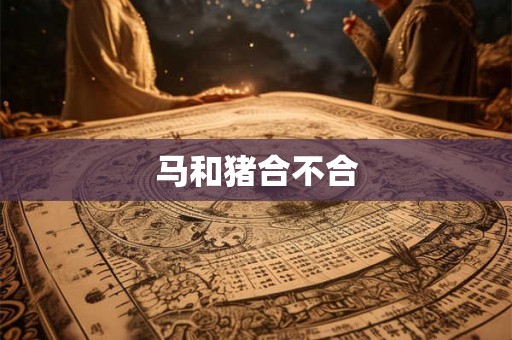 马和猪合不合