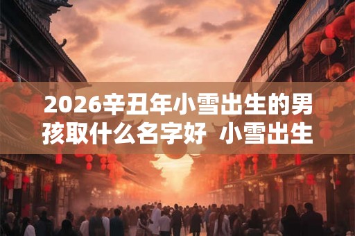 2026辛丑年小雪出生的男孩取什么名字好  小雪出生的男宝宝名字